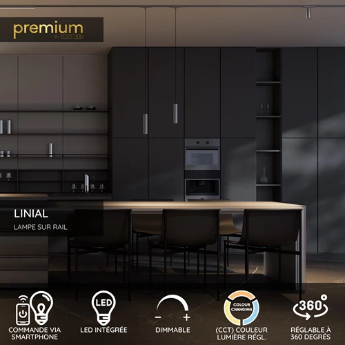 Lucide Premium LINIAL BIXX Spot sur rail - Système de rail monophasé / Éclairage sur rail smart - Smart - 48V Track - 2xLED - Canon Fusil Mat - USP